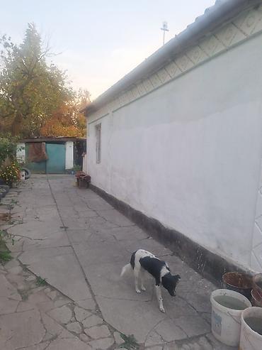 Үйлөр: Продаётся дом с.Джал — 2