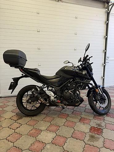 мт 03: Naked Yamaha, 320 куб. см, Бензин, Взрослый, Б/у — 2