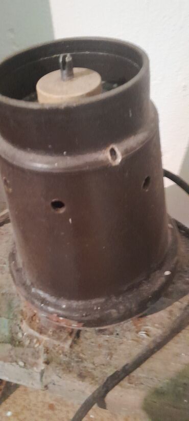 Коровы, быки: Продаю | Корова (самка), Музоо, торпок | Бельгийская | Для молока | Искусственник — 9