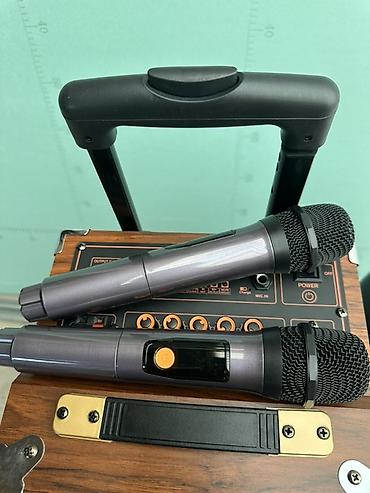 холодильная камера: Портативная акустическая система BAAB High-Power Outdoor Audio - — 3