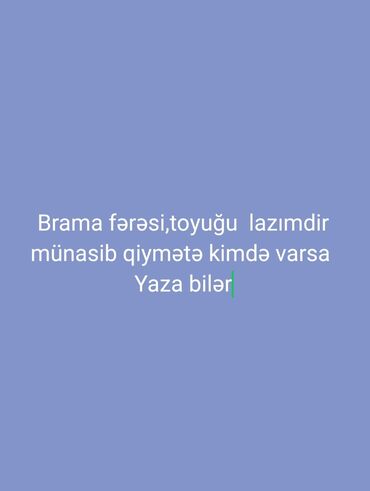 cins inekler azerbaycanda: Toyuq, Brama, Damazlıq, Rayonlara çatdırılma