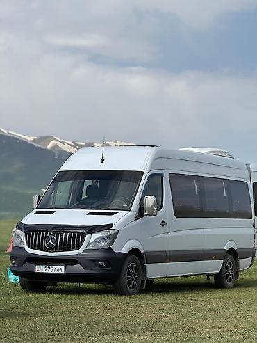 124 e500: Бус на заказ Пассажирский микроавтобус Mercedes-Benz Sprinter (длинная — 3
