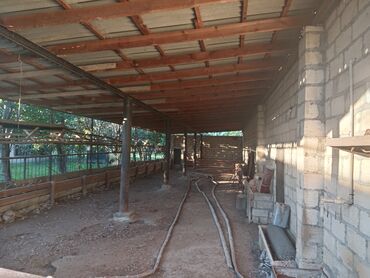 Anbar və emalatxanalar: Ferma təsərrüfatı üçün hazır təsərrüfat sahəsi və tikililər - — 1