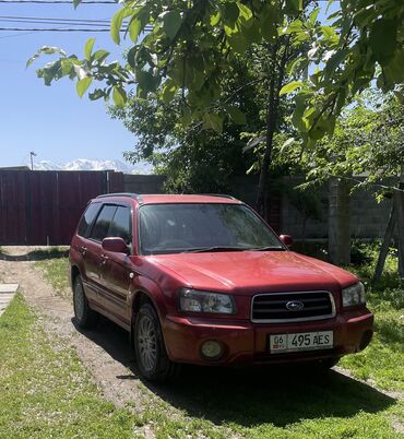 выкуп машина берилет: Subaru Forester: 2002 г., 2 л, Автомат, Бензин, Кроссовер