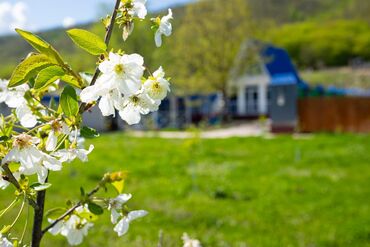Bağ evlərinin kirayəsi: 130 kv. m, 4 otaqlı, Kombi — 11