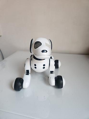 Oyuncaqlar: Ağıllı robot it Zummer.Orijinaldır xaricden getirilib.Tekerli rahat — 1