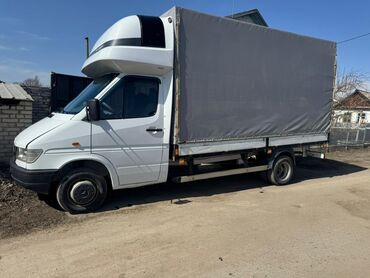бортавой спринтер: Бус, Перевозка скота, По региону, По городу, с грузчиком