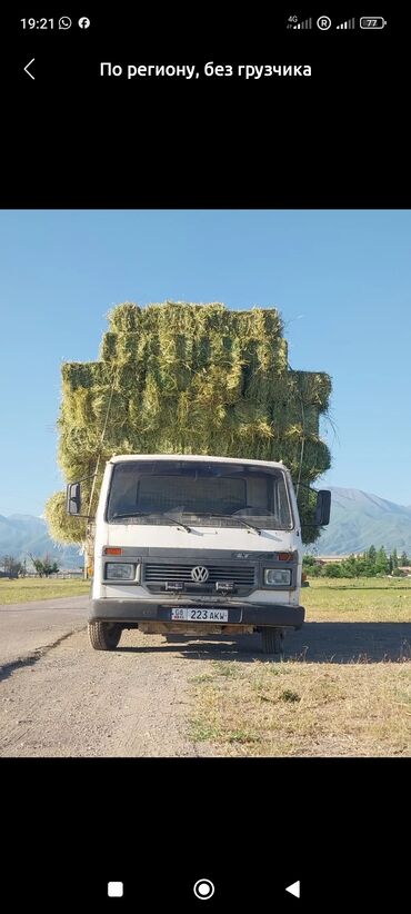 дамкрат для авто: Перевозка скота, По региону, без грузчика