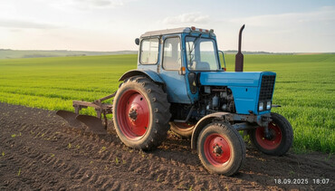 Тракторы МТЗ (Беларус): Продаю МТЗ 50 двигатель 80,Плуг, Бороон, в хорошем состоянии цена — 1