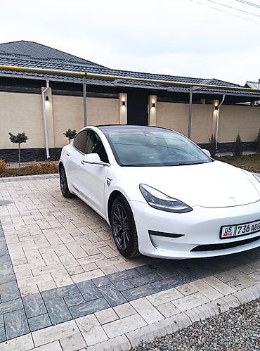 Tesla: Tesla Model 3: 2020 г., Электромобиль, Седан — 10