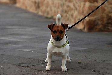 krojac jagodina: Pozdrav! Zovem se Tijana i prva sam godina na Fakultetu Tehničkih — 2