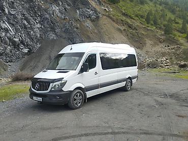 w210 e320: Бус на заказ Пассажирский микроавтобус Mercedes‑Benz Sprinter — 2