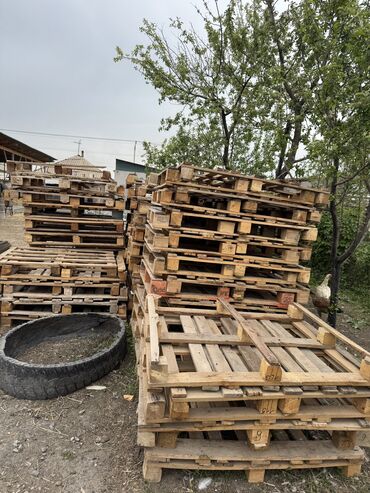 пластилин цена бишкек: Продаются полеты большие шт 250