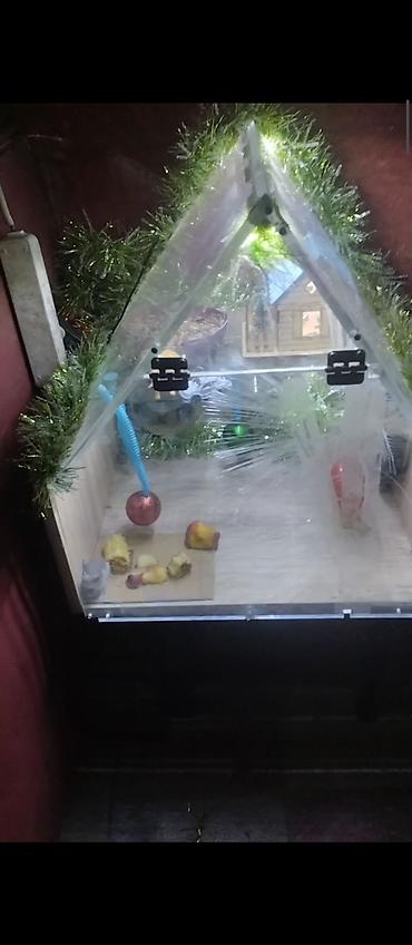 mini led: Məhsul: Dekorativ işıqlı akvarium/teraryum vitrin-kabinəsi Təsvir: - — 1