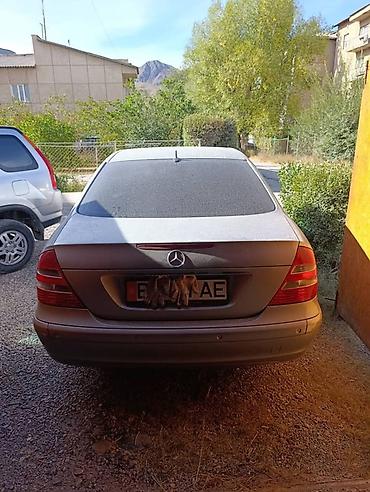 step rf3: Mercedes-Benz E-Class: 2003 г., 3.2 л, Автомат, Бензин, Седан — 5