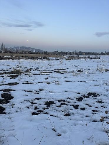 Продажа участков: 5 соток, Для строительства, Красная книга, Договор купли-продажи — 3