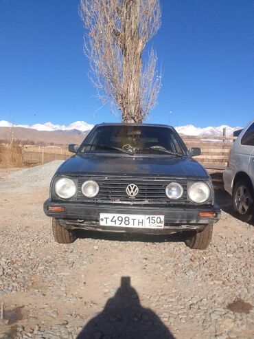 volkswagen амарок: Volkswagen Golf: 1989 г., 1.8 л, Механика, Бензин, Хэтчбэк