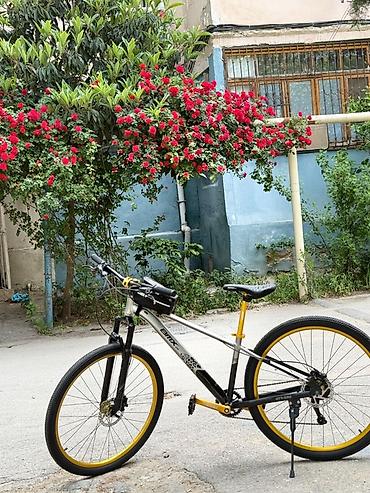 masin velosiped: 29 alminum rama — 7
