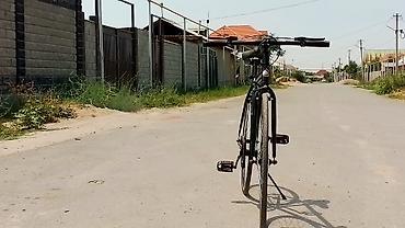 single speed: Шоссейный велосипед, Рама L (172 - 185 см), Новый — 3