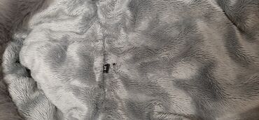 Geyimlər: Красивыекачественные почти новые вещи на маленьких собачек. Все в — 12