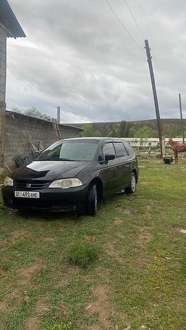 продам кару: Honda Odyssey: 2001 г., 2.3 л, Автомат, Бензин, Универсал — 1