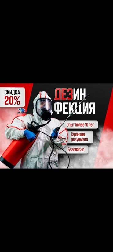 сдам квартиру: Дезинфекциялоо, дезинсекциялоо | Канталалар, Бүргөлөр, Таракандар | Транспорт, Офистер, Батирлер