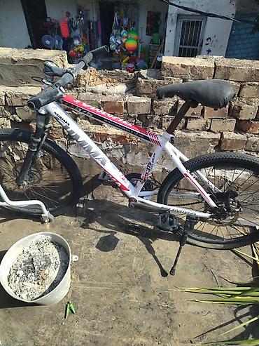 summa velosiped: Şəhər və yüngül off-road üçün universal velosiped. 24 lük - — 1