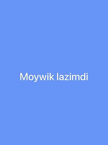 ev işi axtarıram: Xidmət: Avtoyuma üçün işçi tələb olunur (Moyşik lazımdır) Təsvir: - — 1