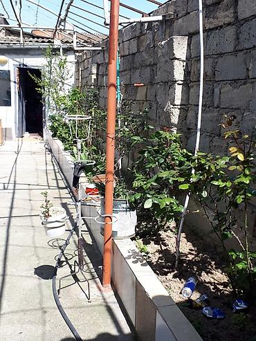 gence pasyolka: Binəqədi qəs. 9 otaq, 800 kv. m, Yeni təmirli — 6