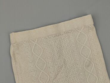 Жіночий одяг: Спідниця жіноча, Primark, розмір L