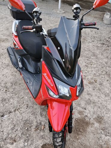 сколько стоит питбайк в баку: NİU - FREEDOM 80 sm3, 2024 il, 7000 km