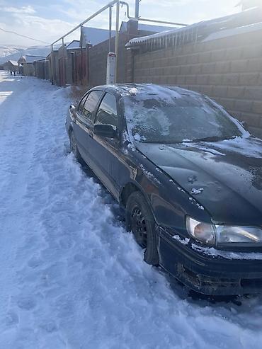 Nissan: Nissan Maxima: 1996 г., 1.6 л, Механика, Бензин, Седан — 2