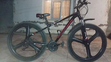 Dağ velosipedləri: Dağ velosipedi – Kinetic/Mountain Bike (TK300/TX300 seriyası yazıları — 1