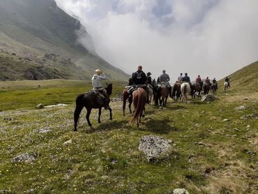 Туристические услуги: Конная прогулка на иссык-куле 🐎 0️⃣5️⃣0️⃣2️⃣3️⃣2️⃣9️⃣4️⃣7️⃣1️⃣☎️ + at lalafo.kg — 8 Туристические услуги: Конная прогулка на иссык-куле 🐎 0️⃣5️⃣0️⃣2️⃣3️⃣2️⃣9️⃣4️⃣7️⃣1️⃣☎️ + — 8