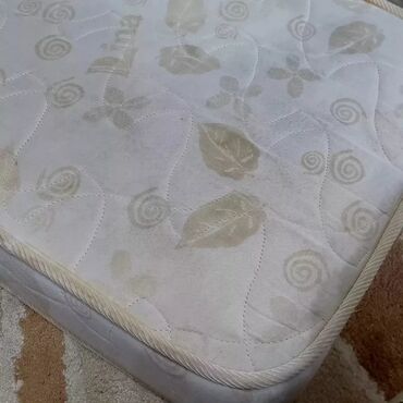 Пылесосы: Пылесос, Karcher, Моющий, Паровая, Влажная, Контейнер, Циклонный фильтр, Фильтр для воды — 10