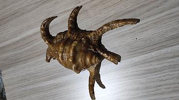 Другой декор и предметы интерьера: Dekorativ dəniz ilbizinin qabığı – “spider conch” üslubunda - — 2