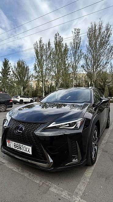 led лампочки для автомобиля: Lexus UX: 2020 г., 2 л, Вариатор, Гибрид, Кроссовер — 1