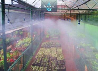 Другое оборудование для бизнеса: 🌿 Системы увлажнения воздуха для тепличных хозяйств 🌫️ Вы хотите