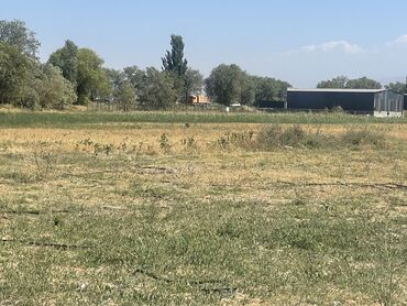 Продажа участков: 27000 соток, Для строительства, Договор купли-продажи — 8