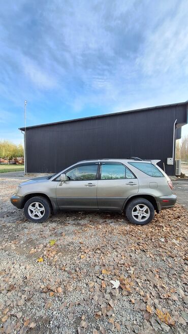 Lexus: Lexus RX: 1999 г., 3 л, Автомат, Бензин