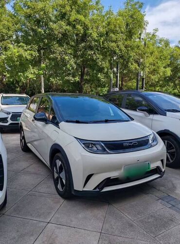 мерседес дельфин пасажир: BYD Dolphin: 2024 г., 0.1 л, Автомат, Электромобиль, Купе