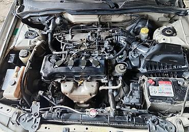 4 göz maşın: Nissan Sunny: 1.6 l | 2004 il Sedan — 8