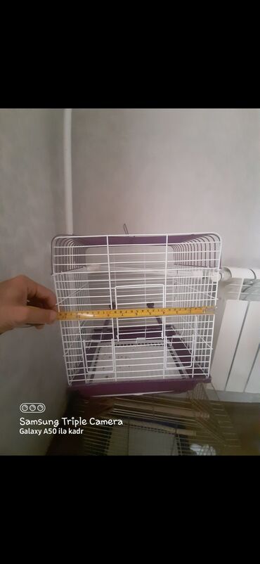 Qefesler hamisi satilir qizili boyuk qefes 20 man qizili orta olculu