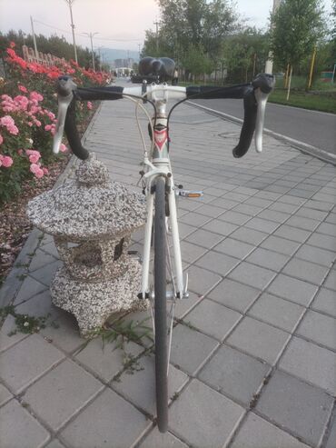 Шоссейные велосипеды: Шоссейный велосипед с алюминиевой рамой. 🔧 Характеристики: - Рама — 3