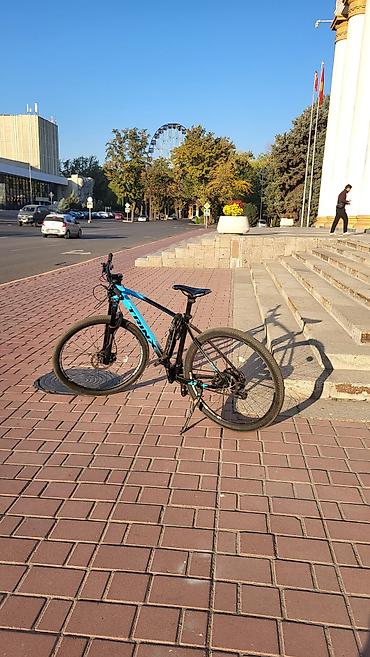 maxxis 29: Горный велосипед, Trinx, Рама L (172 - 185 см), Алюминий, Б/у — 1