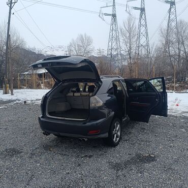 Lexus: Lexus RX: 2003 г., Автомат, Бензин, Кроссовер — 16