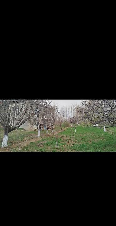 ev menzil alqi satqisi: 4 otaqlı, 140 kv. m, Orta təmir — 1