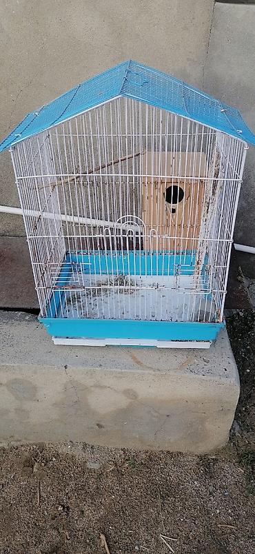 Quş qəfəsi və yuva qutusu - Material: metal barmaqlıqlar, möhkəm