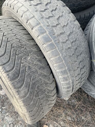 шины 215 70: Шины 215 / 70 / R 16, Зима, 1 шт, Легковые, Германия, GoodYear