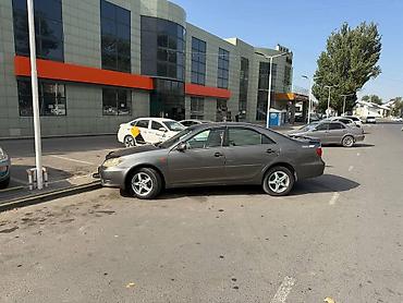 ограничитель двери камри: Toyota Camry: 2005 г., 2.4 л, Автомат, Бензин, Седан — 2